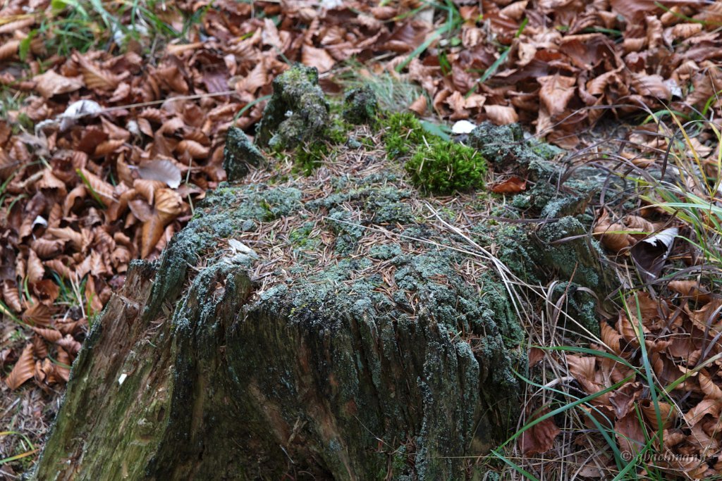 20101030_260